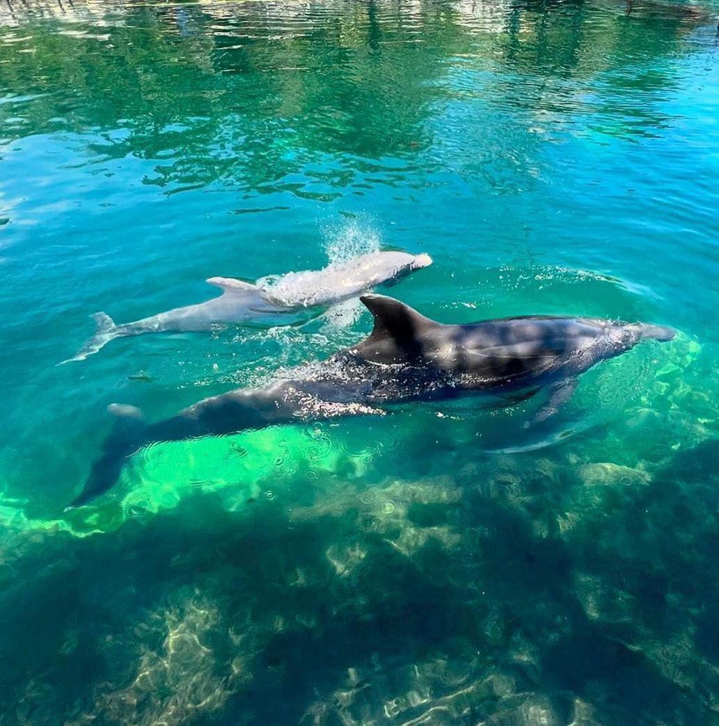Puerto Aventuras, Departamento A Unos Pasos De La Playa公寓 外观 照片